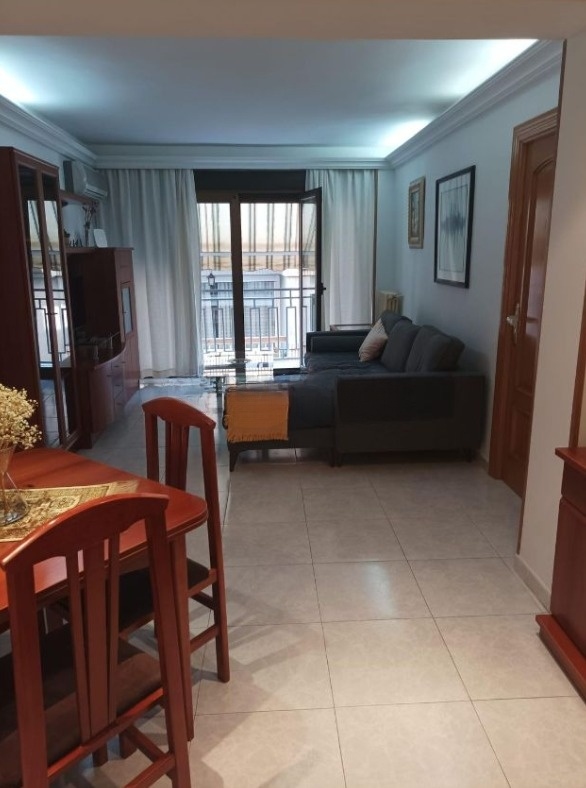 Wohnung zur miete in Centro-Sagrario (Granada)