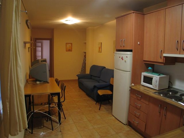 Appartment zur miete in Centro-Sagrario (Granada)