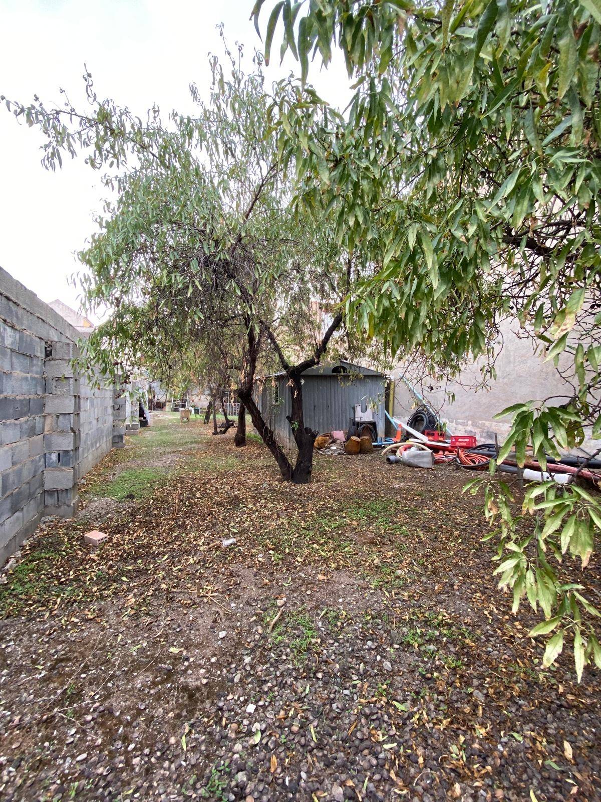 Appezzamento in affitto a Armilla
