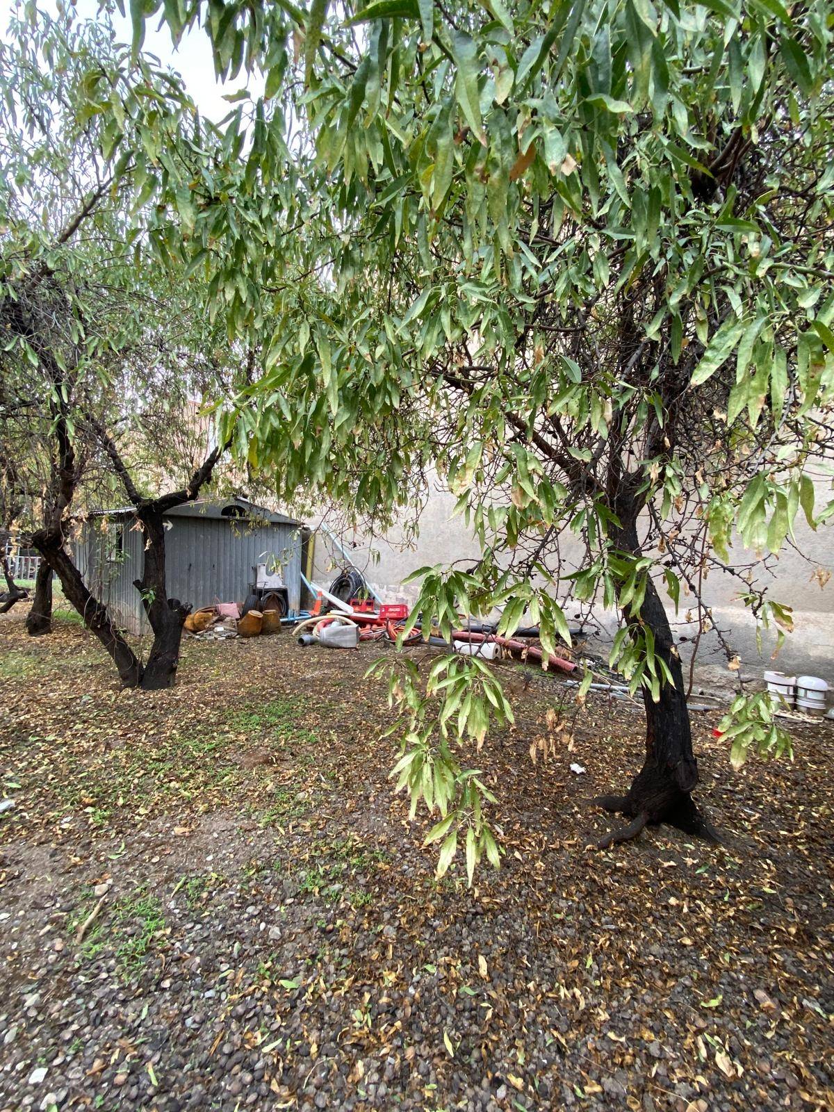 Appezzamento in affitto a Armilla